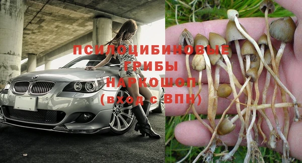 прущая мука Зеленокумск