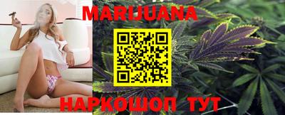 гидра Краснодар