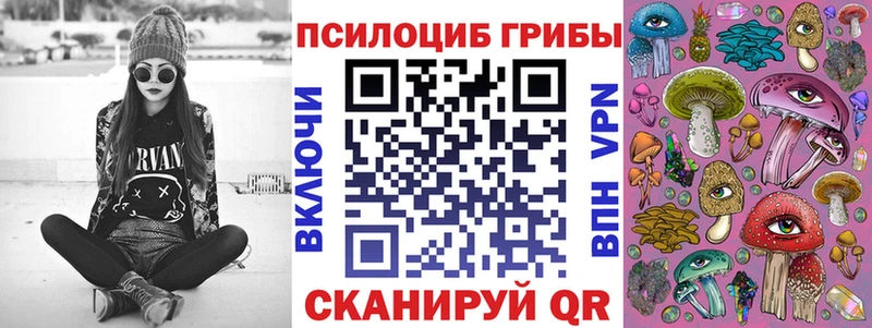 Галлюциногенные грибы Cubensis  продажа наркотиков  Кандалакша 