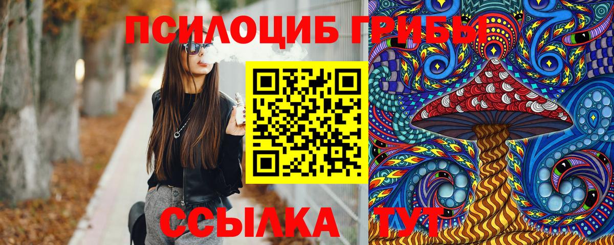 Кандалакша  Галлюциногенные грибы прущие грибы  Вход с VPN 