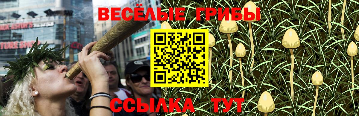 Псилоцибиновые грибы GOLDEN TEACHER Кандалакша